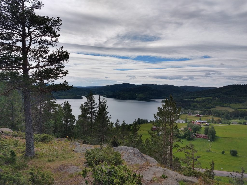 Somewhere along the high coast trail